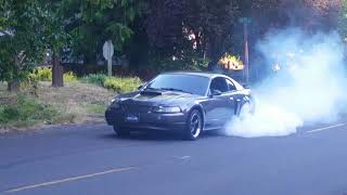 Bone stock 03' Mustang GT