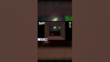 Animators vs. WR Mario Speedrun