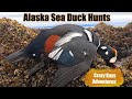 Alaska Sea Duck Hunting for Harlequin and Barrows Goldeneye's