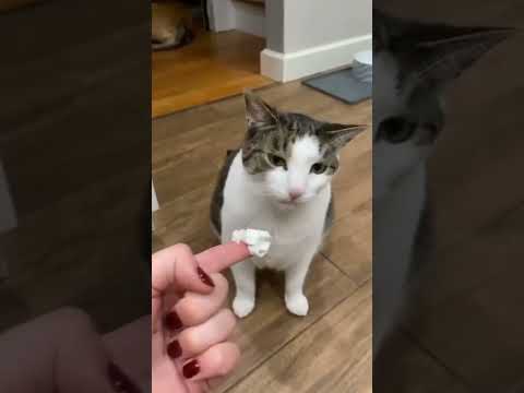 OLHA O TAMANHO #humor #shorts #memes