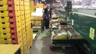 packhouse