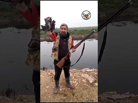 صيد البط وإفتتاح الموسم مع الصياد ابو منذر     