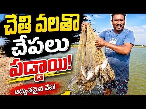 చేతి వాళ్ళతో చేపలు 🐬Yatala SHANKAR VLOGS యాటల శంకర్ ఫిషింగ్ వీడియో 🐟
