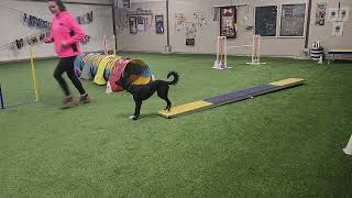 Mena teeter training 4