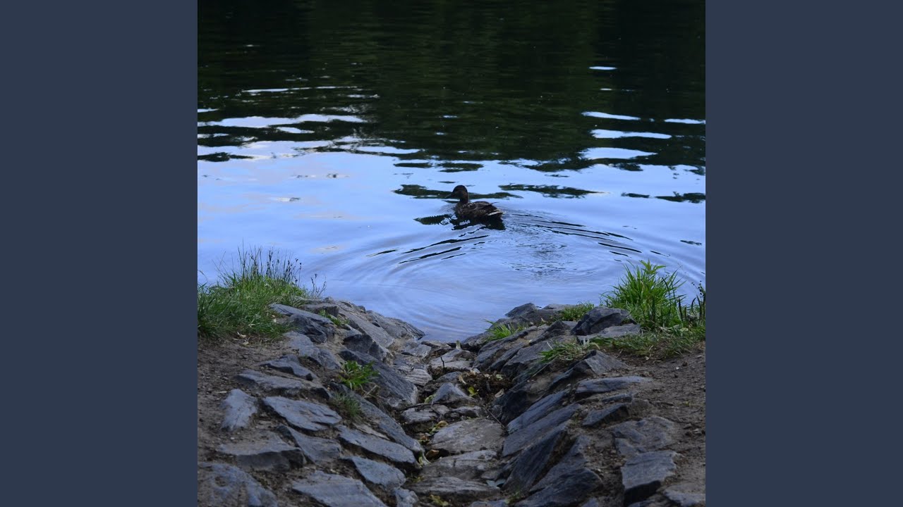 Fsuf Forest murmuring stream sound sound - YouTube