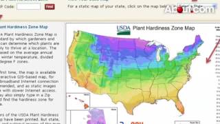 Usda Plant Hardiness Zones