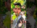 FOOD ASMR🍃🫛🐟 #shorts #reverse #food #mukbang #funny #cat #cute #pets