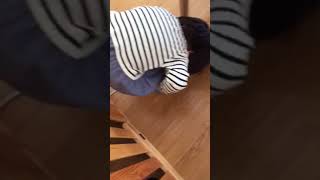 2017121102