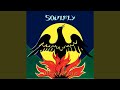 Miniature de la vidéo de la chanson Back To The Primitive (Dub Shit Up Mix)