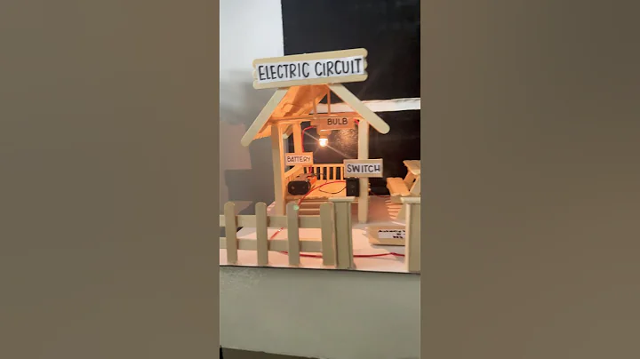 DIY Electric Circuit House project