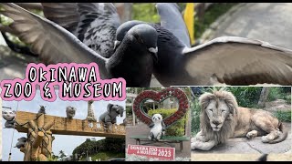 OKINAWA ZOO & MUSEUM #walkingtour around#different animals & relaxing view:GG ADVENTURE LOVER’S