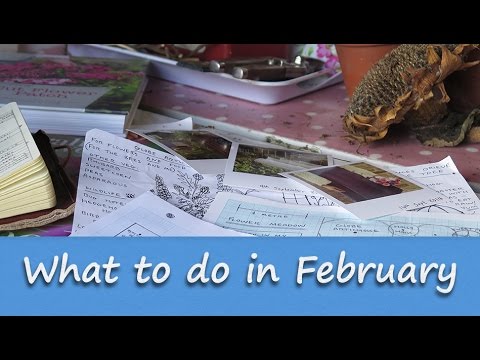 Jobs to do in the Allotment Garden - February
