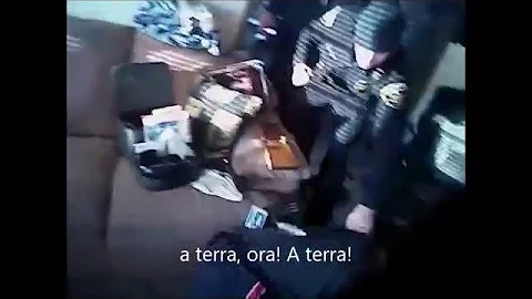Cosa succede se un cane uccide una persona?