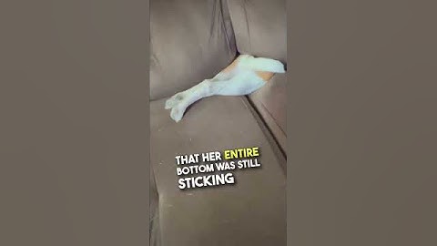 The way she immediately froze 😂❤️ #shorts