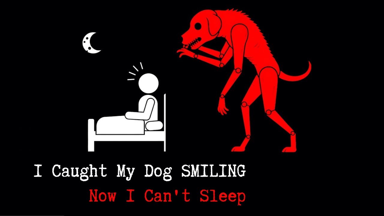 I Caught My Dog SMILING - Now I Can't Sleep | Analog Horror