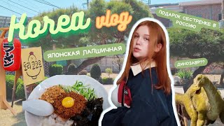 Что можно купить на 130$ в Южной Корее. Последние дни цветения вишни | KOREA VLOG