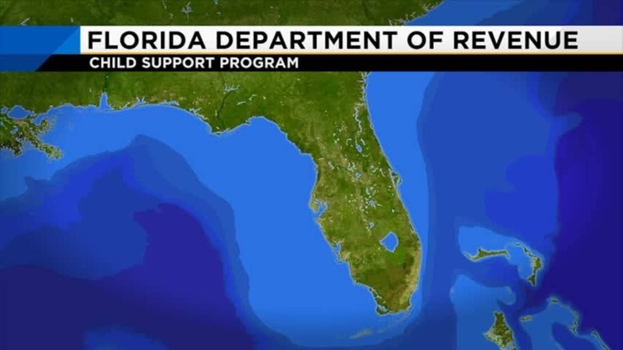 florida-department-of-revenue-child-support-program-statistics-youtube