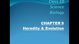 Class 10 Science Biology Chapter 9 Heredity and Evolution Traits Expressed Sex determination