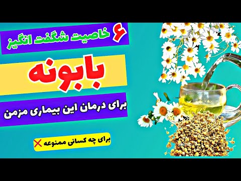خواص بابونه خواص فوق العاده بابونه که اگربدونی چقدر مفیده هیچ وقت ازش غافل نمیشی
