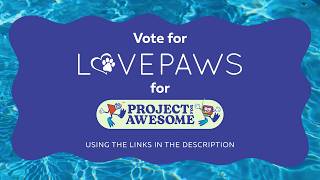 Vote for LOVEPAWS for Project for Awesome 2026