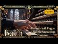 静寂のバッハ ── 小フーガと祈りのオルガン~Bach | Little Fugue & Sacred Organ Works