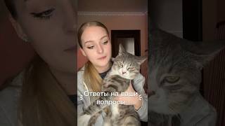ОН ОТВЕТИЛ #кот #умныйкот #shorts #beauty #смешнойкот