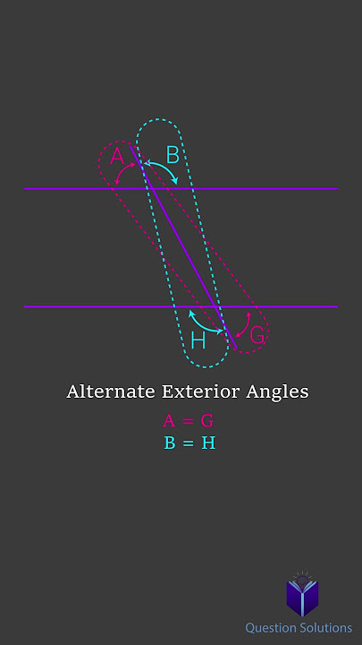 All about angles | alternate interior, corresponding, consecutive, etc | #angles, #geometry