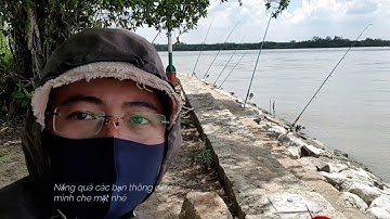 CÂU CÁ NƯỚC LỢ SÔNG CẦN GIỜ 2020 | NÊN VLOG
