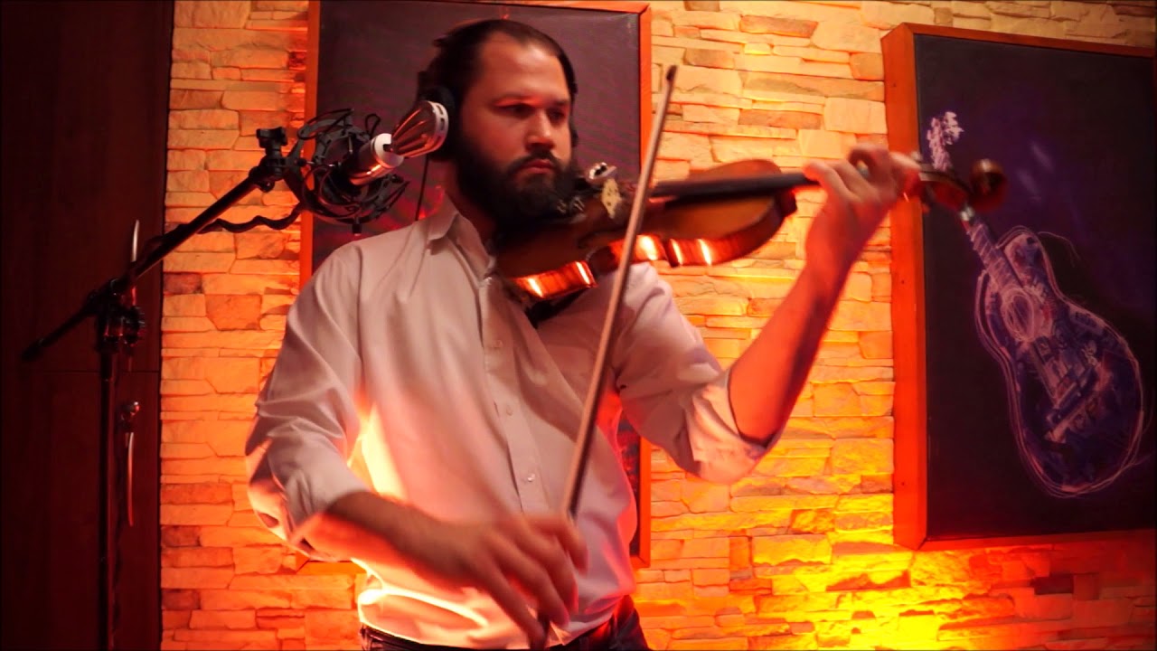Oliver Heldens - Melody (Hawai Violin Cover)