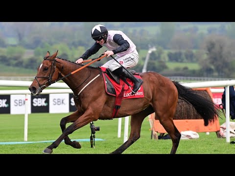 TEAHUPOO completes G1 hat-trick with Champion Stayers Hurdle triumph at Punchestown