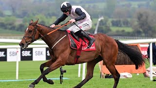 TEAHUPOO completes G1 hattrick with Champion Stayers Hurdle triumph at Punchestown