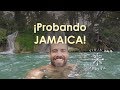 Viaja y Prueba en Jamaica  con Luciano Mazzetti