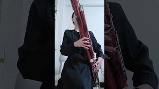 WEISSENBORN FAGOTT STUDIEN BASSOON STUDIES Opus 8The82th by Song qixuanhou