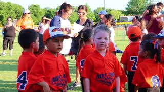 My sons last t-ball game