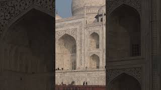 #tajmahal #travel #privatetrip #withlocals #viatortravel +918267811545