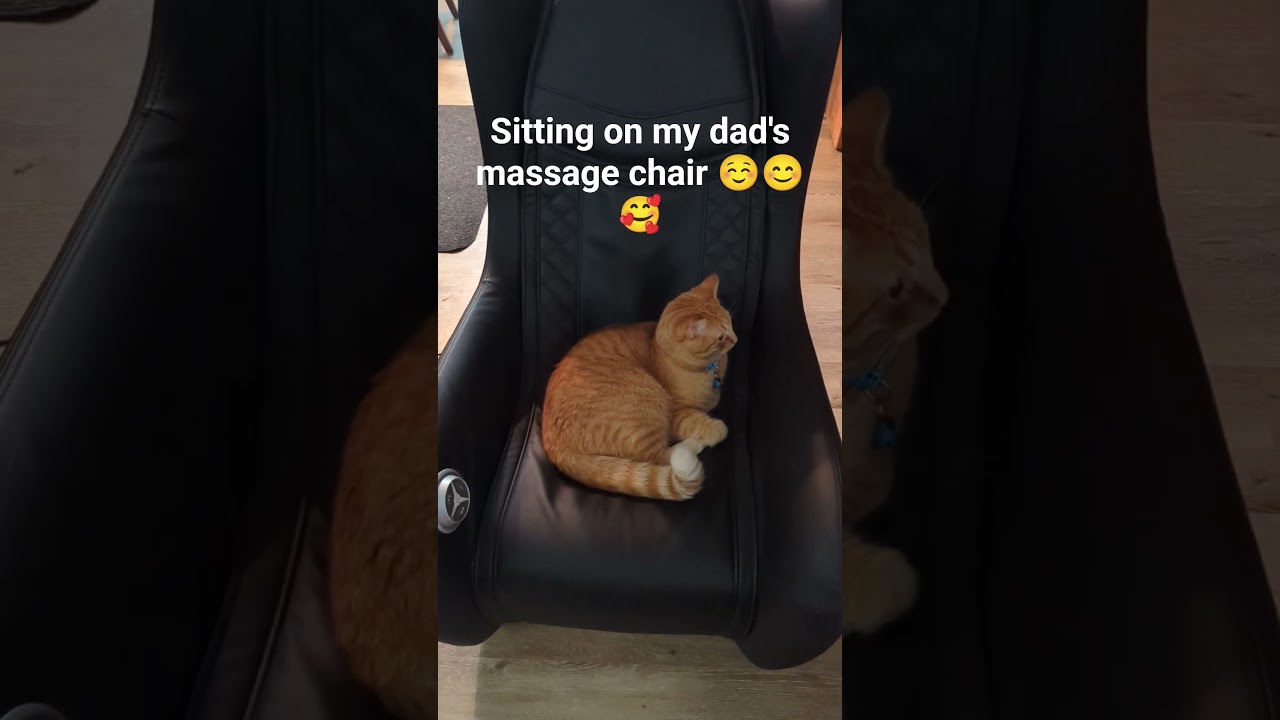 I love my massage chair 