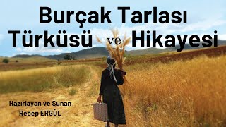 Burçak Tarlası Türküsü ve Hikayesi Resimi