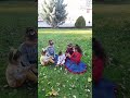 ساوي بأيدك فقيشة طيور بيبي 