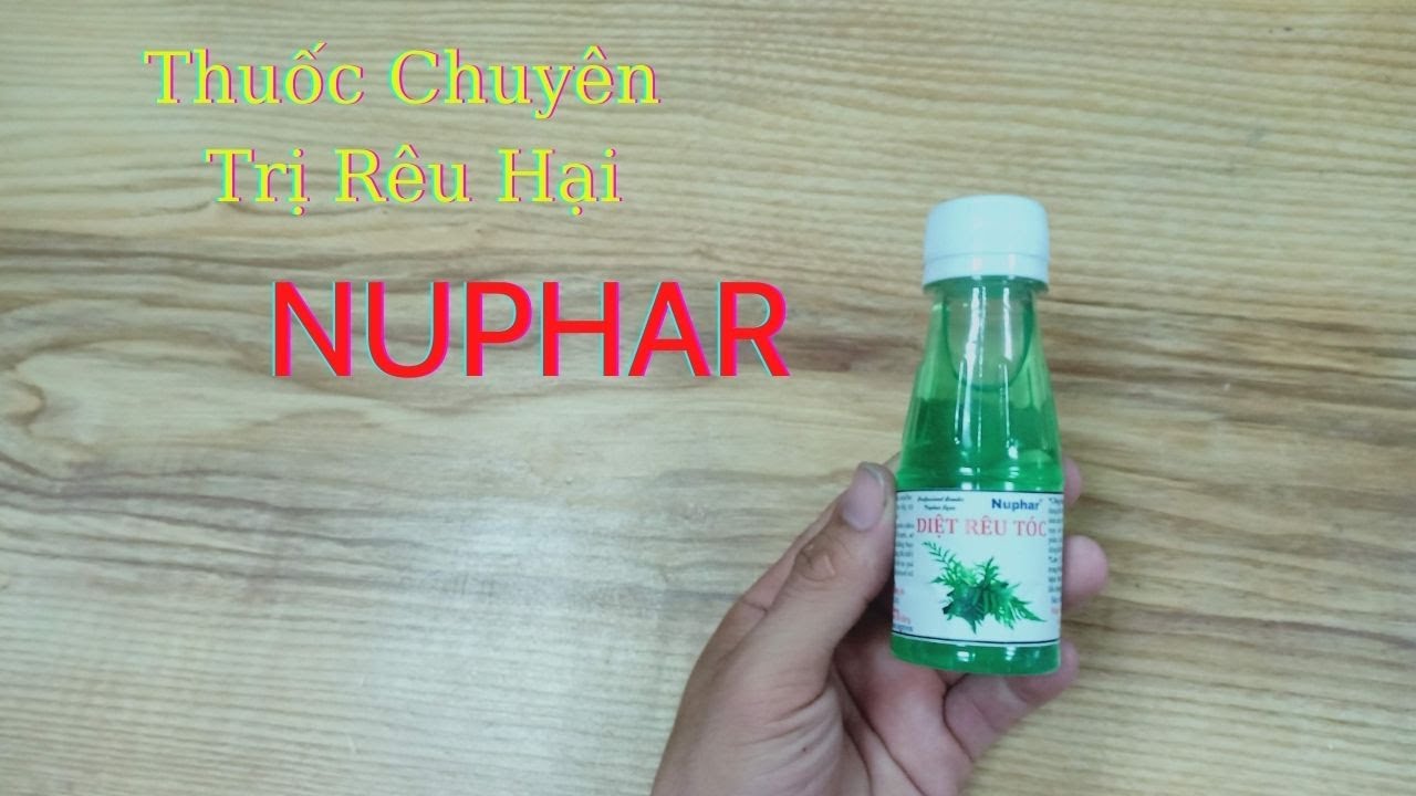 Thuốc Chuyên Trị Rêu Tóc_Huấn_sinh_vật_cảnh #shorts - youtube