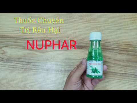 Video Thuốc Chuyên Trị Rêu Tóc_Huấn_sinh_vật_cảnh #shorts - youtube