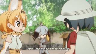 Shoebill starring owo
