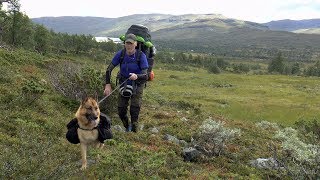 Fjällvandring Gäddede  Jäckvik del 1