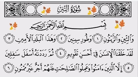 سورة التين مع شرح أحكام التجويد