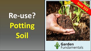 Can You Reuse Old Potting Soil  Don't Throw Out Used Potting Soil Until You Watch This.