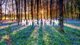 MW917 P1 | Mr.Within - The Scattered Cosmic Vision (Lecture on Conscious attention's movement.)