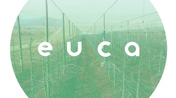 Monitoring a Cherry Farm 🍒 with NviroSense