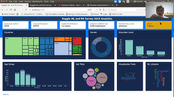 CSE564 Final Project Work - D3.js Dashboard