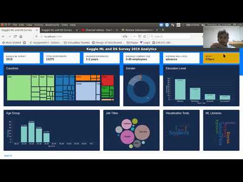 CSE564 Final Project Work - D3.js Dashboard