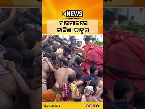 ଚାରମାଳରେ କାଳିଆ ଠାକୁର #knewsodisha