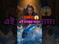 একটা মাছের দাম শুনলে বিশ্বাস হবে না! 🐟 | #shorts